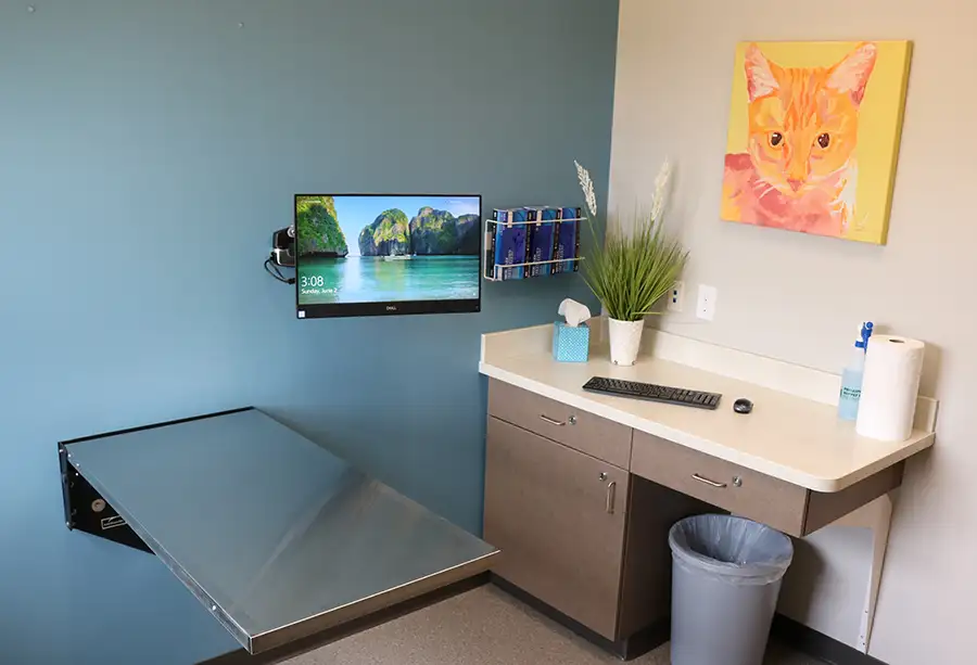 A veterinary exam room featuring a stainless steel exam table mounted on a blue wall, a computer monitor, and a countertop with medical supplies. A colorful painting of a cat decorates the wall, adding a warm touch to the clinical setting.