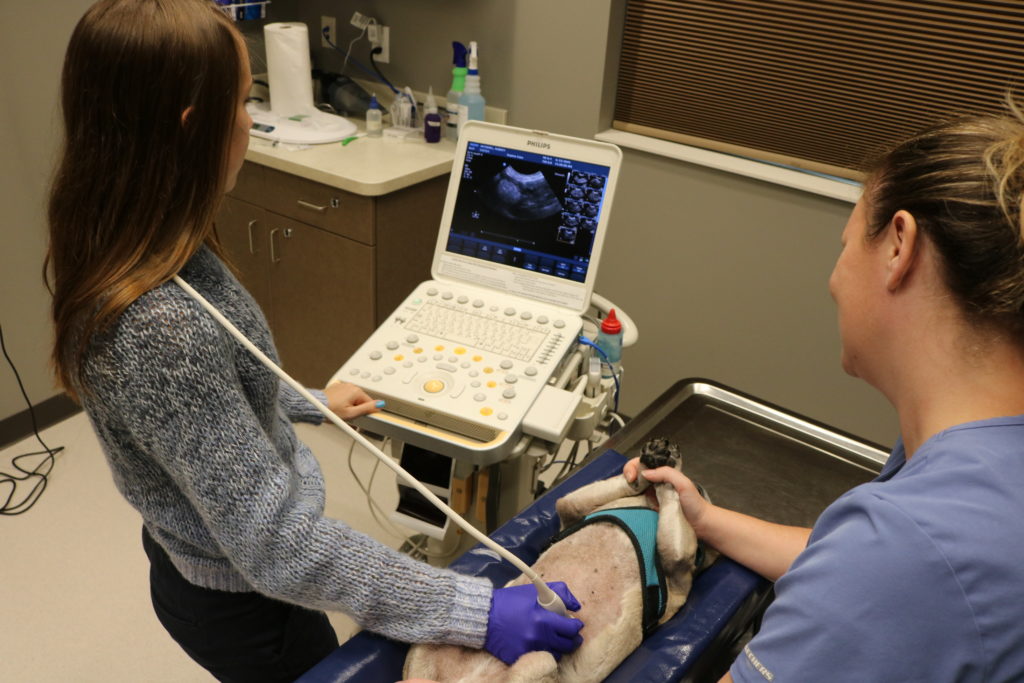 Care Center Dayton - Ultrasound