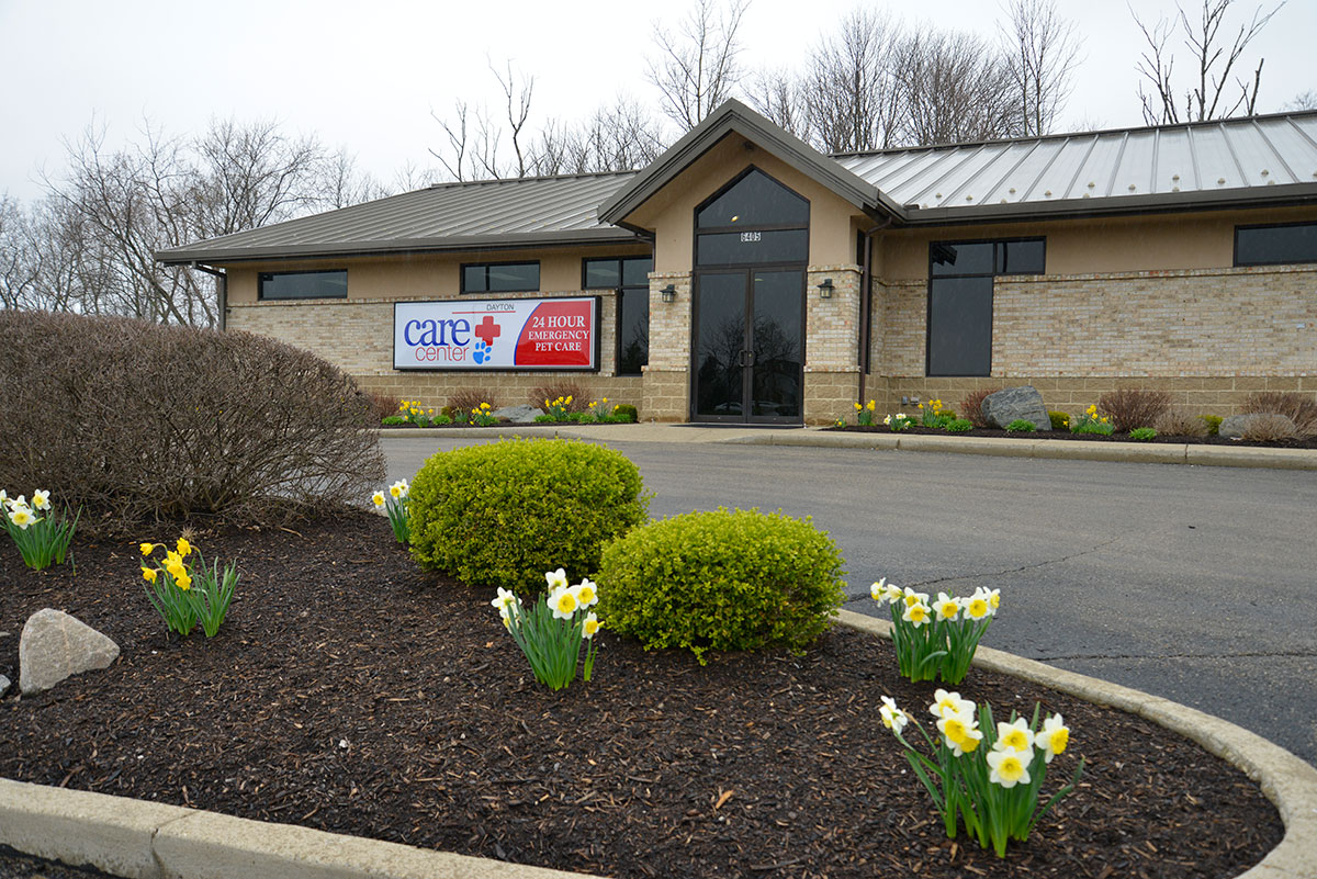 About Care Center - Veterinary Care in Cincinnati and Dayton