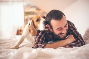 Hospice care for pets