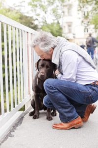 Hospice care for pets