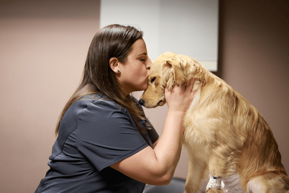 Women kissing a dog on the head