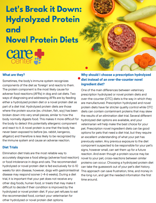 Handout - Hydrolyzed Protein Diets