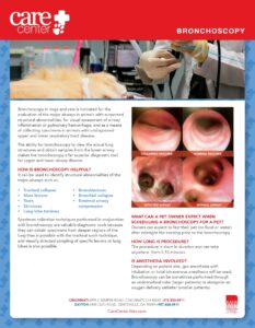 Informational brochure for Care Center on Bronchoscopy in pets, featuring diagnostic uses, benefits, and procedural details. Click to view the PDF.