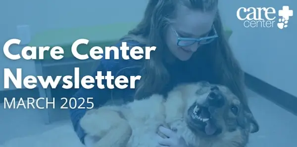 A young woman with long hair and blue glasses is smiling as she lovingly cradles a large, happy German Shepherd mix dog on the floor of a clinical setting, likely a veterinary or care facility. The dog looks joyful and relaxed, lying on its back with its mouth open in a playful expression. Overlay text reads 'Care Center Newsletter MARCH 2025' in large white font, with the Care Center logo featuring a medical cross and paw print in the top right corner. The image has a soft blue overlay, giving it a calm and professional tone.